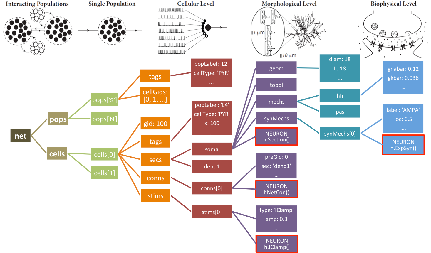 _images/netstruct.png